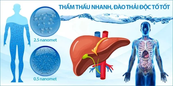 07 tác dụng của máy lọc nước ion kiềm mà có thể bạn chưa biết