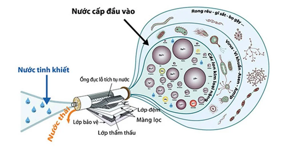 nuoc-ro-la-gi-1