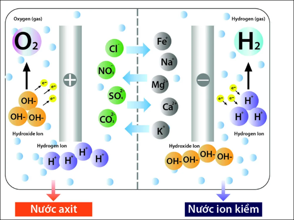 sua-may-loc-nuoc-ion-kiem-1