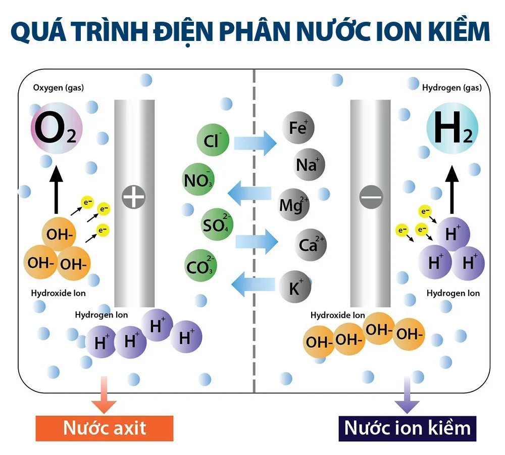 ve-sinh-may-loc-nuoc-ion-kiem-1