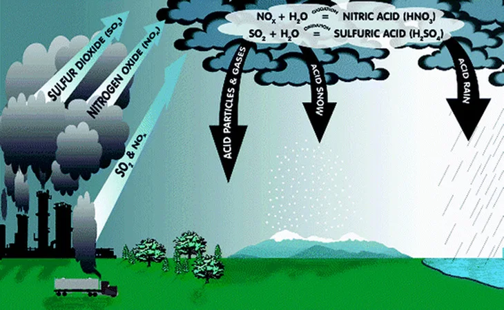 cach-xu-ly-va-su-dung-nuoc-mua-an-toan-dung-cach-1