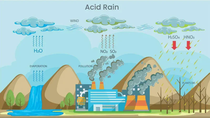 mua-acid